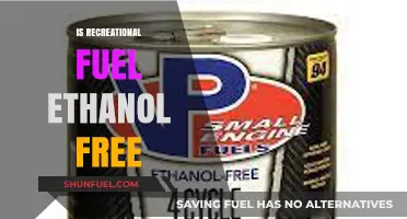 Recreational Fuel Ethanol-Free: What You Need to Know