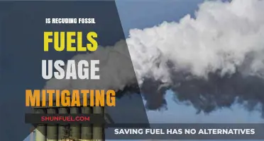 Reducing Fossil Fuels: Effective Mitigation or Insufficient Action?