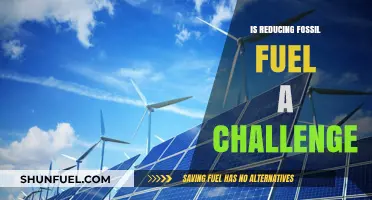 Reducing Fossil Fuels: A Complex Challenge for a Sustainable Future