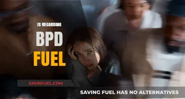 Understanding BPD Fuel Dynamics: Triggers, Impact, and Healthy Coping Strategies