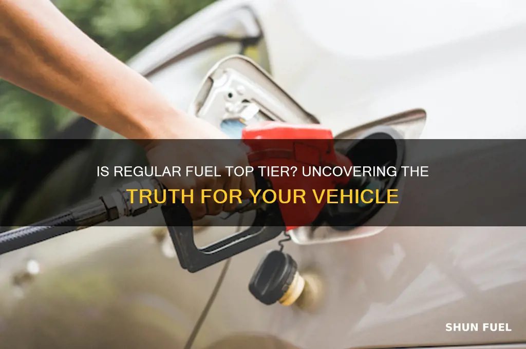is regualr fuel top tier