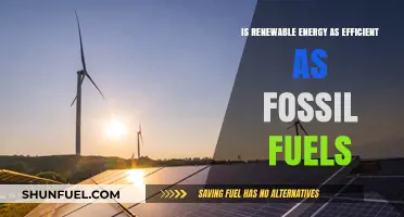 Renewable Energy vs. Fossil Fuels: Efficiency, Sustainability, and Future Prospects