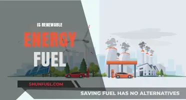 Renewable Energy: Sustainable Fuel for a Greener Future Explained