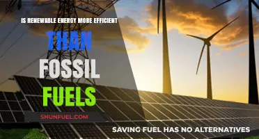 Renewable Energy: A More Efficient Future?