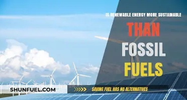 Renewable Energy vs. Fossil Fuels: Which is Truly Sustainable?