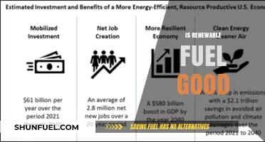 Is Renewable Fuel Good? Exploring Benefits, Challenges, and Future Potential