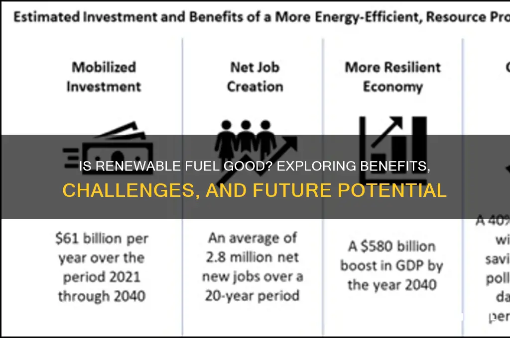 is renewable fuel good