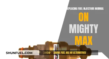 Mighty Max Fuel Injectors: Are Replacements Common?