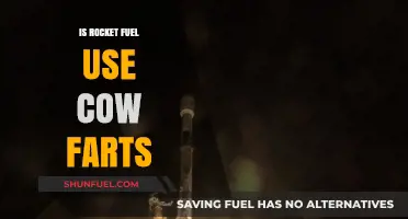 Cow Farts as Rocket Fuel: Fact or Fiction?