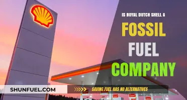 Is Royal Dutch Shell a Fossil Fuel Giant? Exploring Its Energy Portfolio
