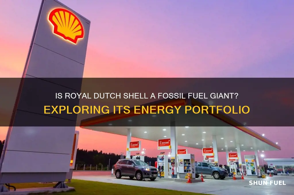 is royal dutch shell a fossil fuel company