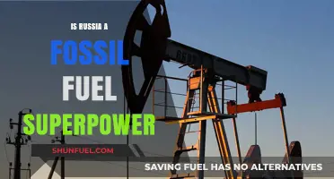 Russia's Energy Dominance: Fossil Fuel Superpower or Global Challenge?