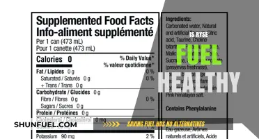 Is Ryse Fuel Healthy? A Comprehensive Review of Ingredients and Benefits