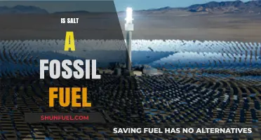 Is Salt a Fossil Fuel? Unraveling the Myth and Facts