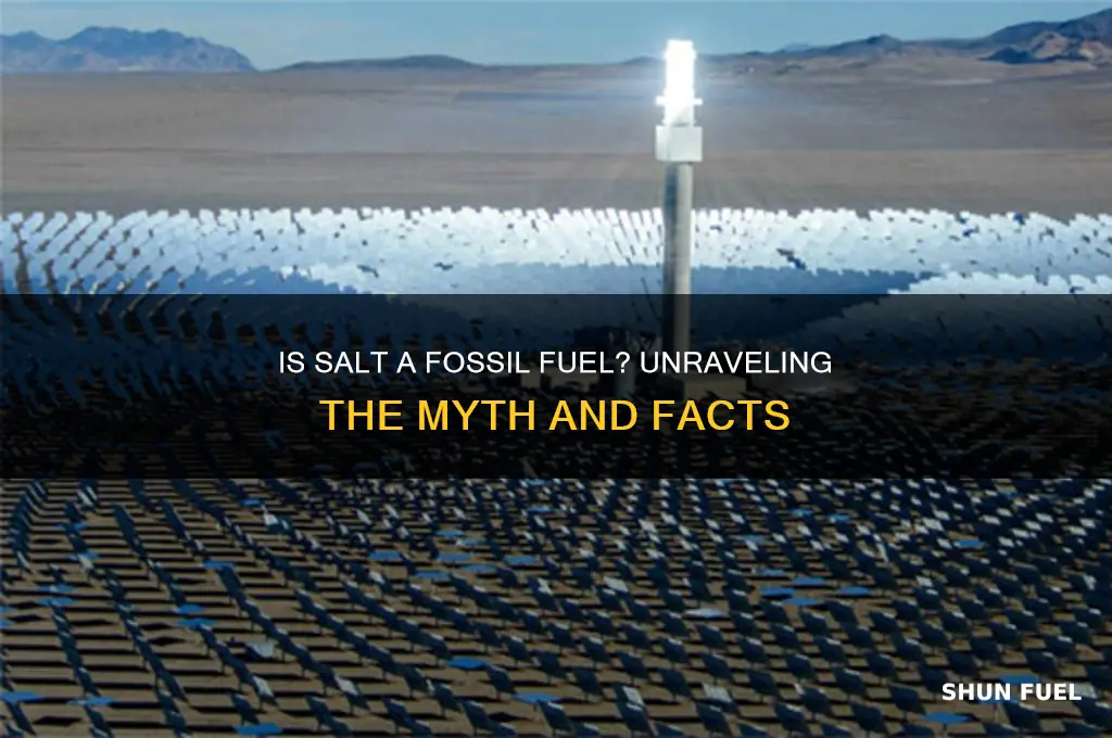 is salt a fossil fuel