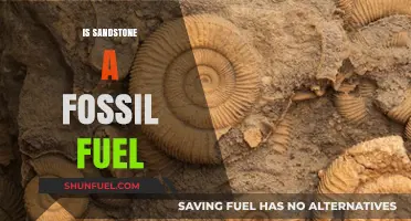 Is Sandstone a Fossil Fuel? Debunking Myths and Facts