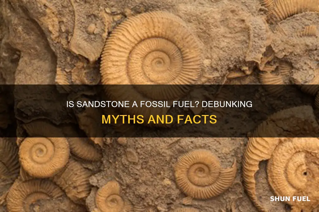 is sandstone a fossil fuel