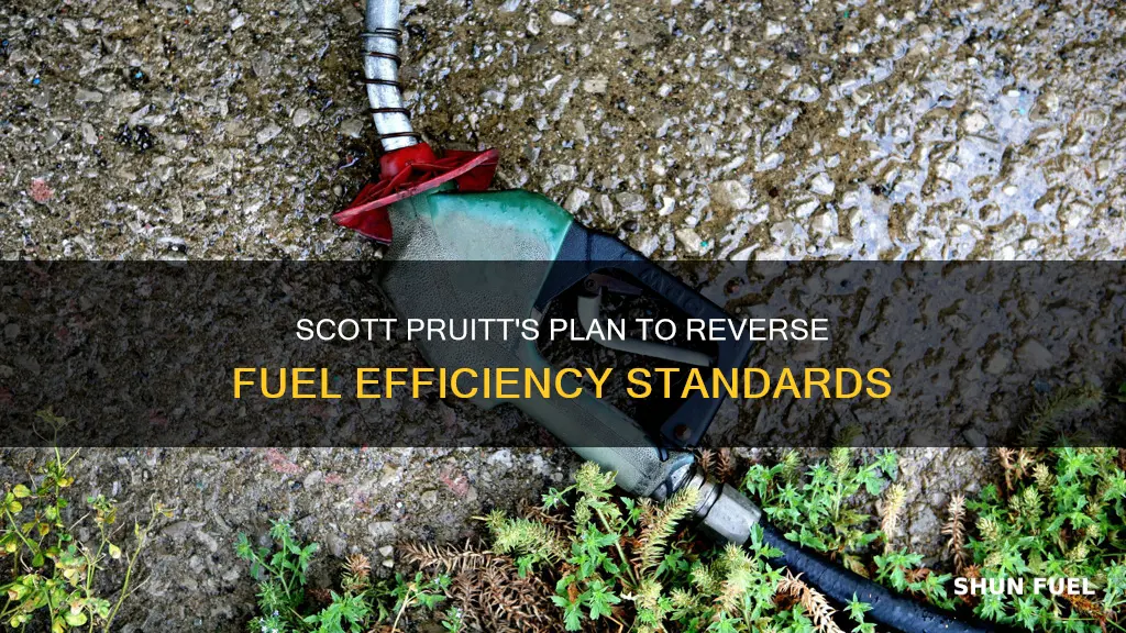 is scott pruitt saying cars should be less fuel efficent