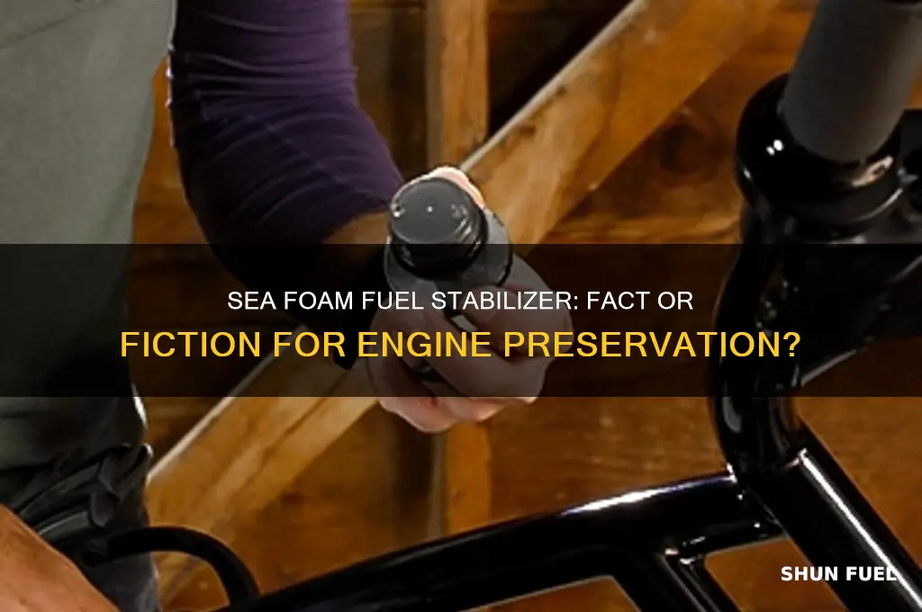 is sea foam fuel stabilizer