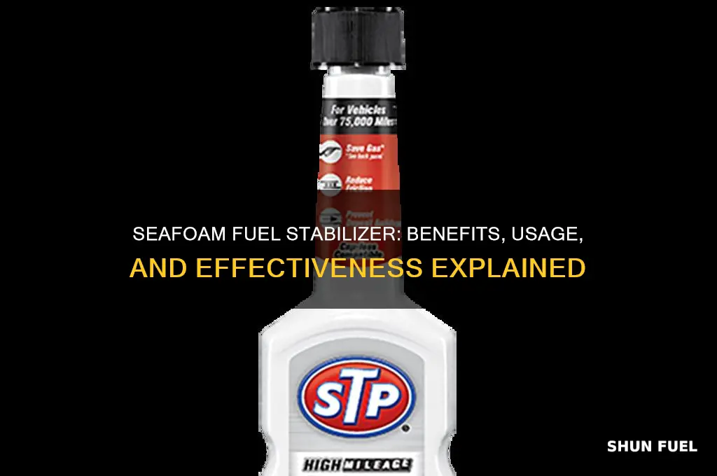 is seafoam fuel stabilizer