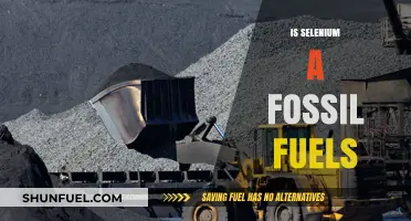 Is Selenium Linked to Fossil Fuels? Unraveling the Connection