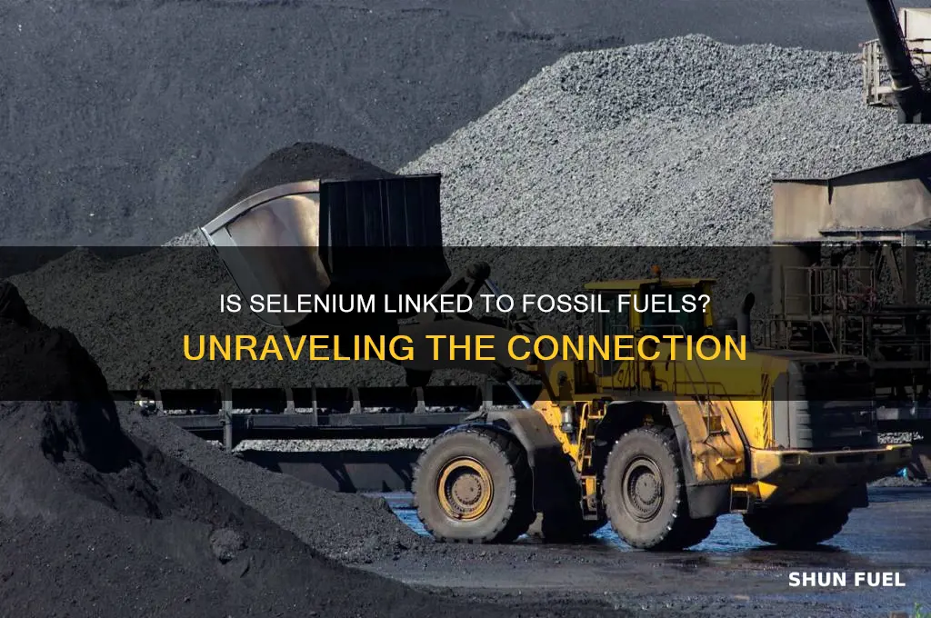 is selenium a fossil fuels