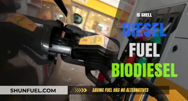 Shell Diesel Fuel: Biodiesel or Not?