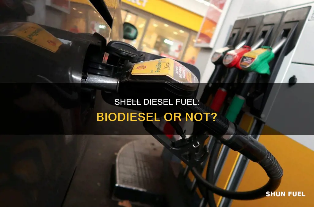 is shell diesel fuel biodiesel