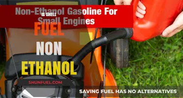 Is Shell Fuel Non-Ethanol? Exploring Gasoline Options for Your Vehicle