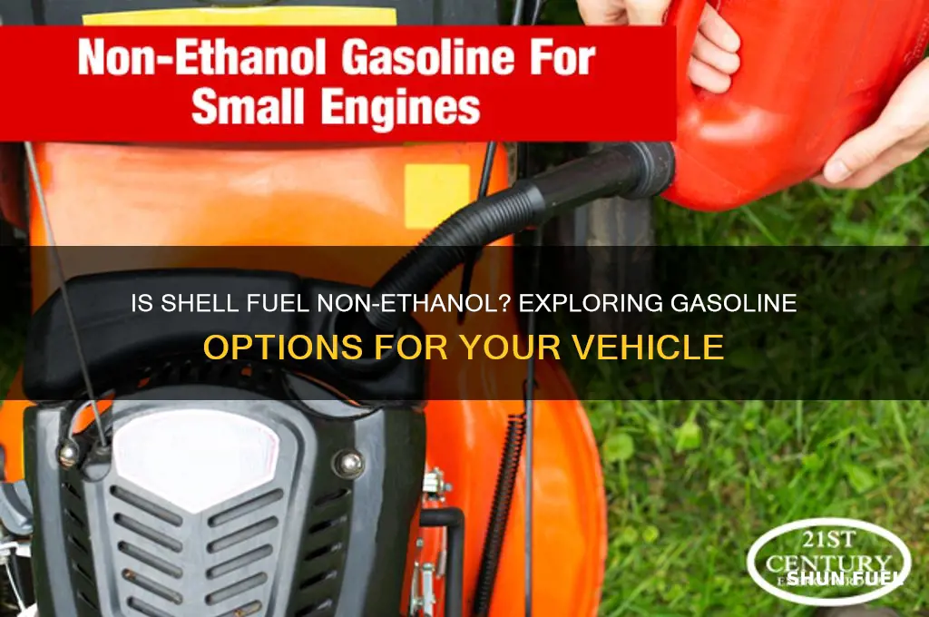 is shell fuel non ethanol