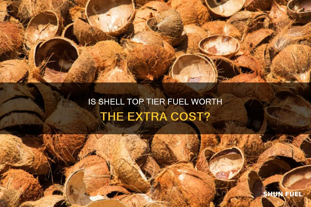 is shell top tier fuel