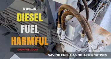 Diesel Fumes: Are They Harmful to Your Health?
