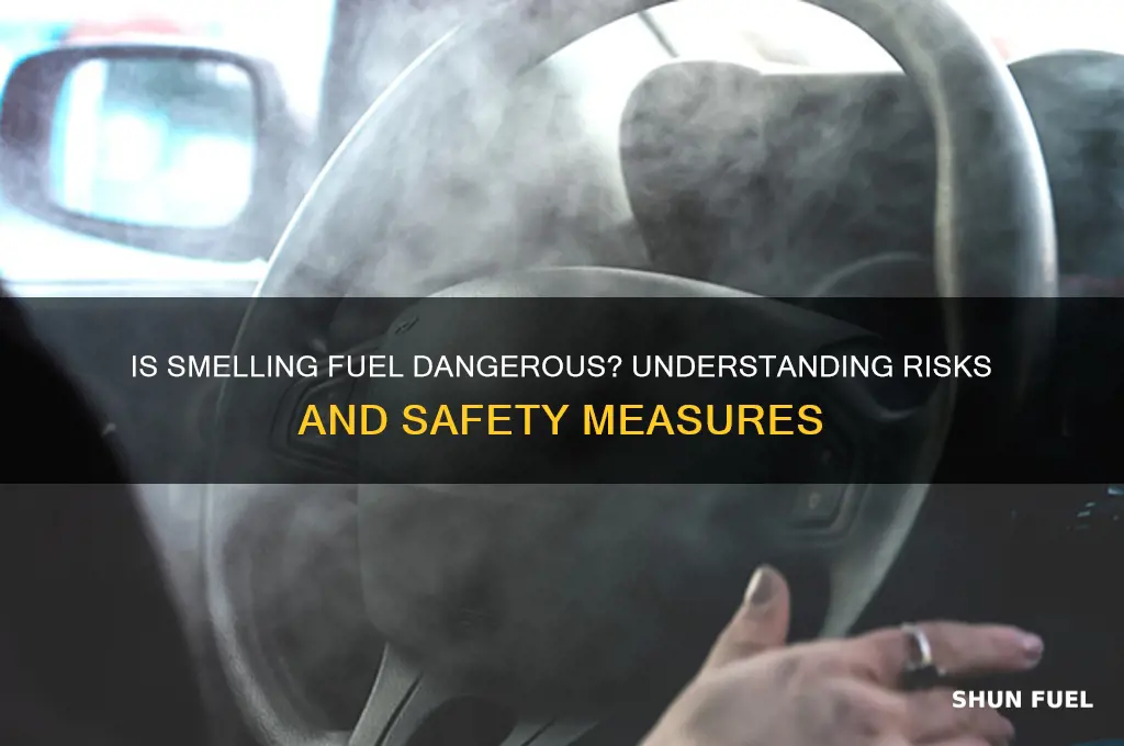 is smelling fuel bad