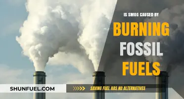 Smog and Fossil Fuels: Unraveling the Burning Connection