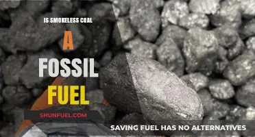 Is Smokeless Coal a Fossil Fuel? Uncovering the Energy Source