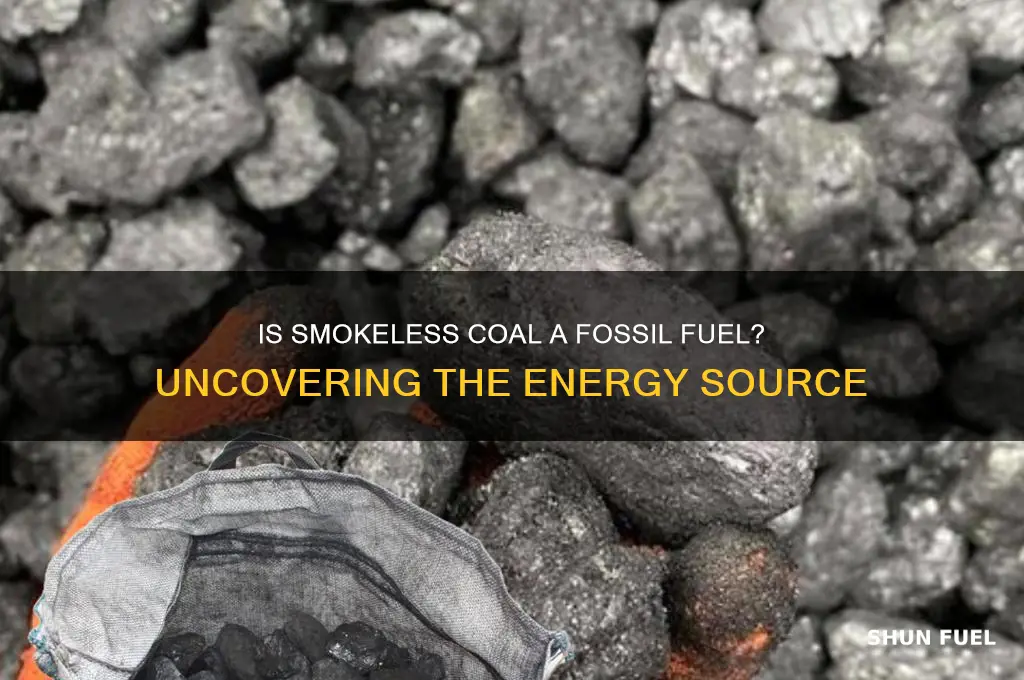 is smokeless coal a fossil fuel