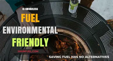 Is Smokeless Fuel Eco-Friendly? Uncovering Its Environmental Impact
