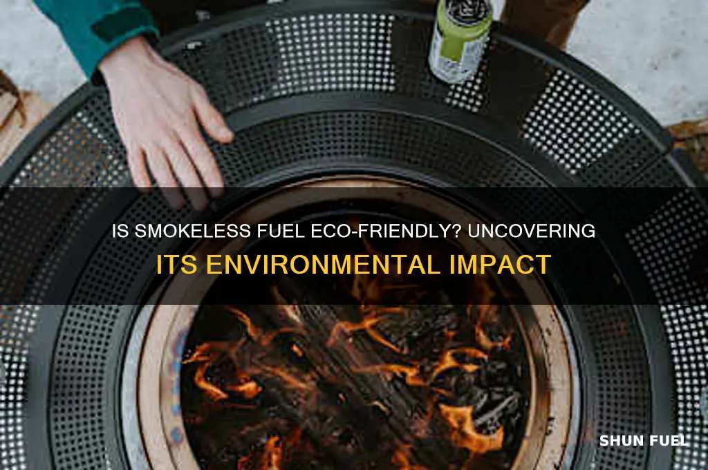 is smokeless fuel environmentally friendly