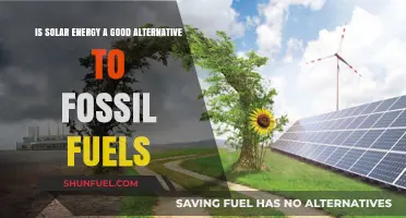 Solar Energy vs. Fossil Fuels: A Sustainable Alternative for the Future?