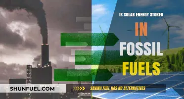 Solar Energy in Fossil Fuels: Myth or Misunderstood Connection?