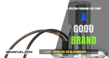 Is Spectra Premium Fuel Pump a Reliable Brand for Your Vehicle?