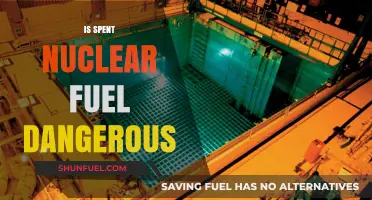 Is Spent Nuclear Fuel a Ticking Time Bomb or Safe?