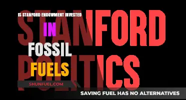 Stanford Endowment's Fossil Fuel Investments: Uncovering the Truth