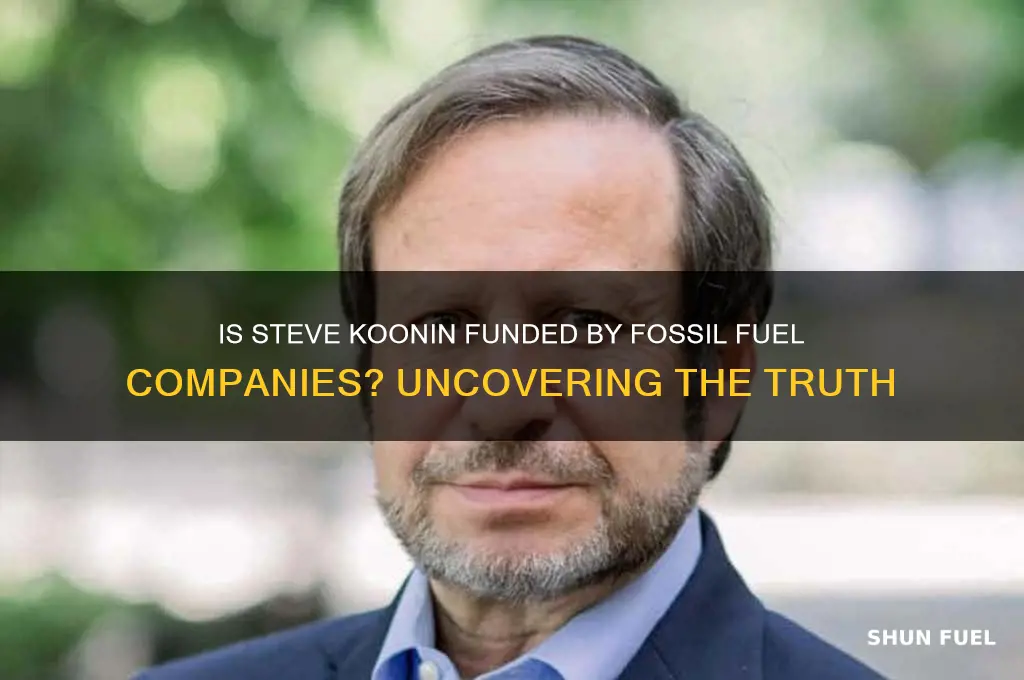 is steve koonin financed by fossil fuel companies