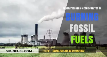 Fossil Fuels and Stratospheric Ozone: Unraveling the Complex Connection