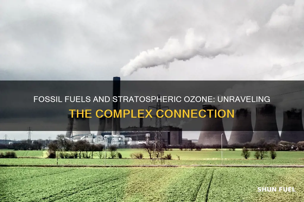 is stratospheric ozone created by burning fossil fuels