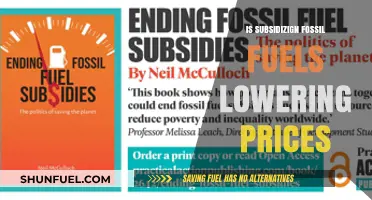 Fossil Fuel Subsidies: Do They Really Lower Energy Prices?