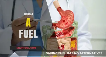 Sugar as Fuel: Energy Source or Health Hazard?