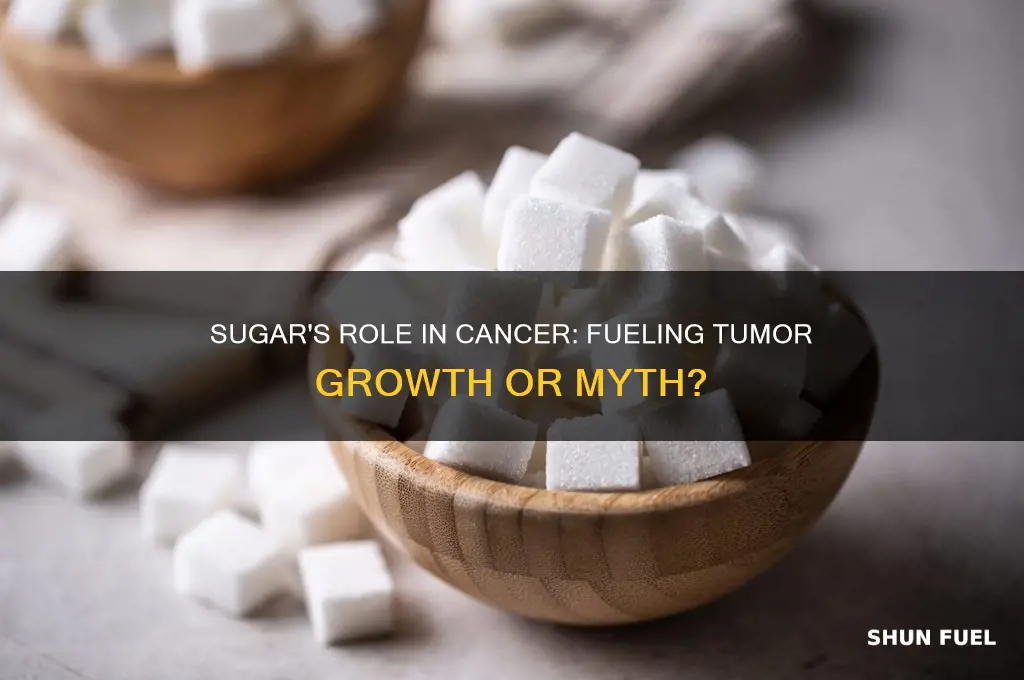 is sugar cancer fuel