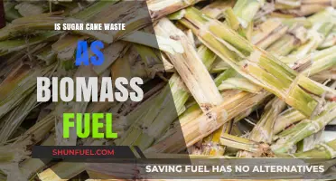 Sugar Cane Waste: A Sustainable Biomass Fuel Alternative?
